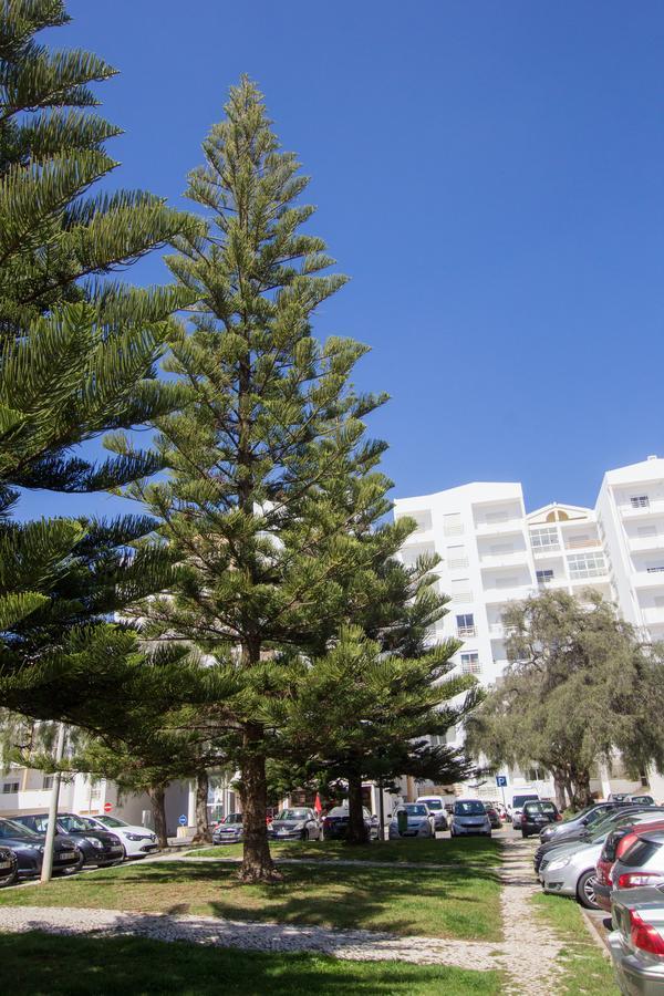 Ferienwohnung Casa Da Praia Lagos Exterior foto